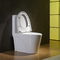 Керамический материальный вытянутый шар туалет Cupc 1 части с мягким - близкое место