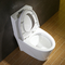 Двойным полным стандарт Cupc американца туалета вкладчика воды вытянутый титаном