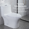 Керамический цельный туалет 1,6 чистки собственной личности туалета застекленный поверхностный вытянутый Gpf