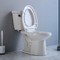 Туалет американского стандарта двухкусочный с 10-Inch Груб-в топить сифона