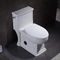 Компактный цельный туалет с бортовым полным туалетом 1000 американского стандарта 1pc карты