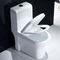 1,0 one piece американского стандарта Gpf Commode туалета со сливом керамического двойной