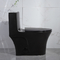 Туалет со сливом 1 части туалетов Bathrooms Iapmo штейновый черный двойной вытянул Siphonic керамическое