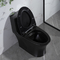 Туалетов Bathrooms полного клапана сифона туалет Csa двойных штейновый черный с 10,5 грубым в черноте