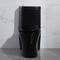 фарфор черноты американского стандарта туалета 300mm Siphonic цельный