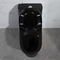 фарфор черноты американского стандарта туалета 300mm Siphonic цельный