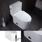 Шар туалетов MAP800G белого one piece высокой эффективности высокорослый вытянутый