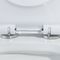 Застекленный керамический туалет one piece притока Siphonic двойной 12 дюйма грубый внутри