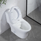 Застекленный керамический туалет one piece притока Siphonic двойной 12 дюйма грубый внутри