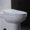 Вытянутый туалет 10 Siphonic цельный грубый в доказательстве утечки мягко заключительном