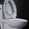 Вытянутый туалет 10 Siphonic цельный грубый в доказательстве утечки мягко заключительном