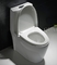 Двойн-приток Map1000 вытянул Bathroom цельного сидения унитаза включенный небольшой