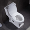 Ada американского стандарта гандикапа вытянул туалет сохранение воды 1 части