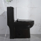 One piece американского стандарта низкопрофильного вытянуло туалет высокорослое черное 1.6Gpf